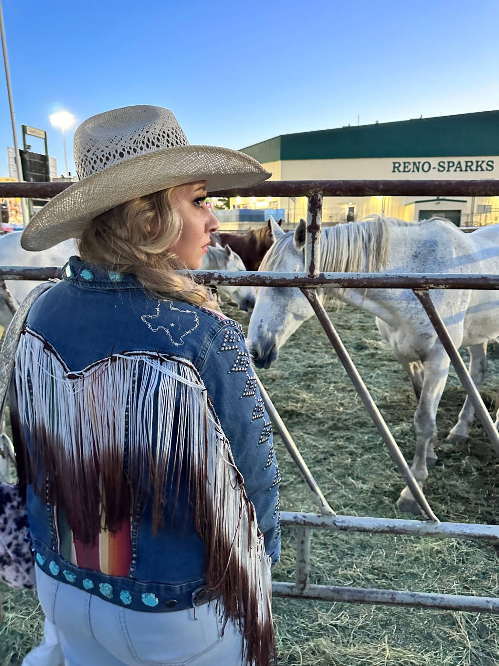5 Takeaways from Reno&nbsp;Rodeo