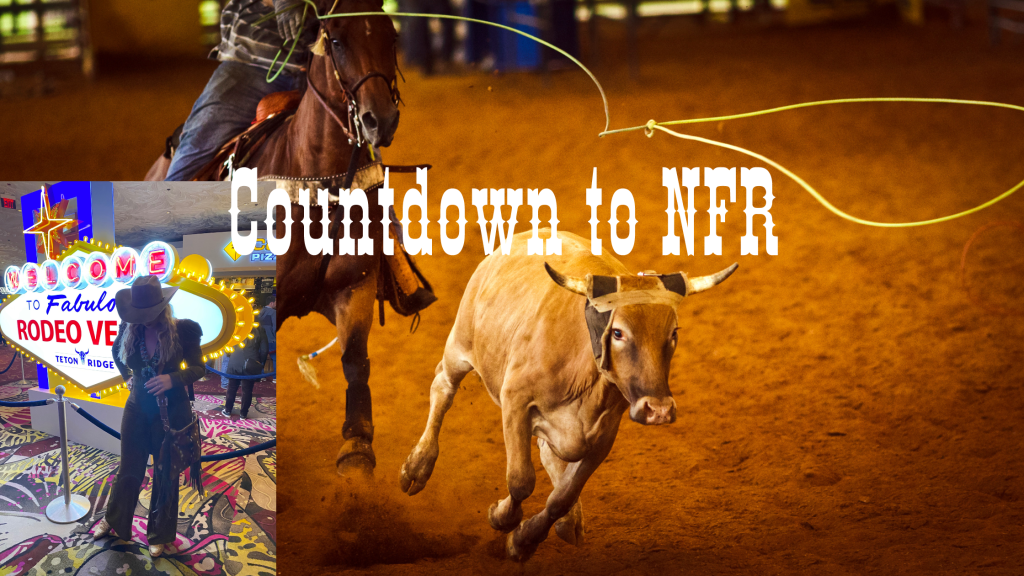 NFR: Prime time of December for the Rodeo&nbsp;Community
